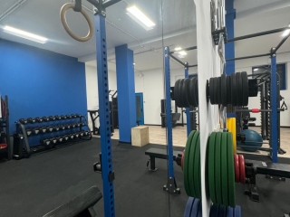 IMG-20241111-WA0016
